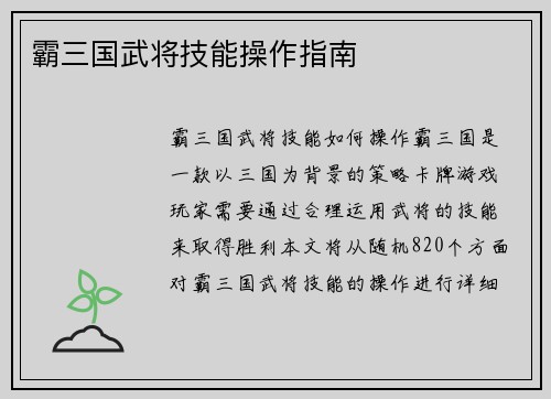 霸三国武将技能操作指南